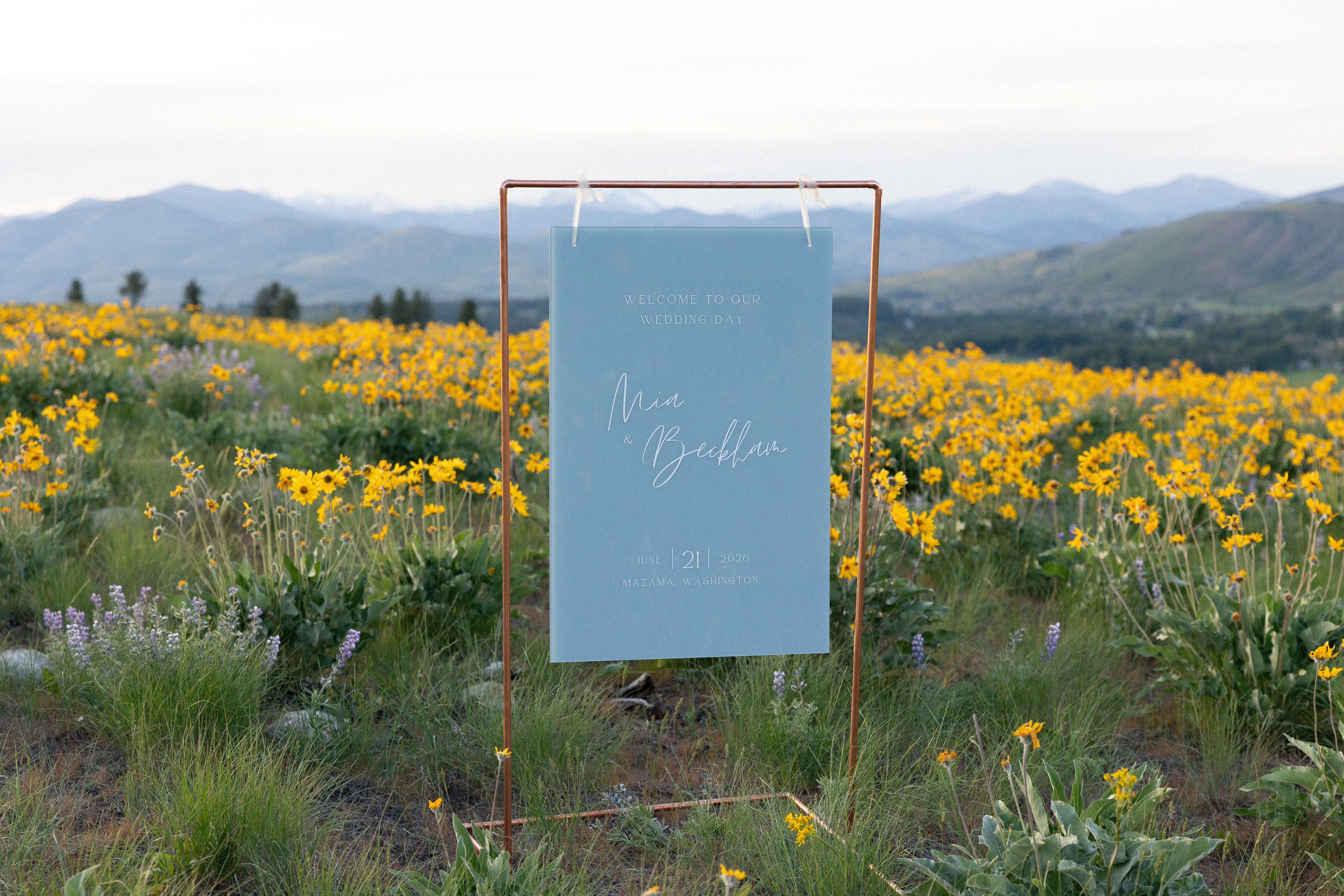 Emitha Acrylic Welcome Sign