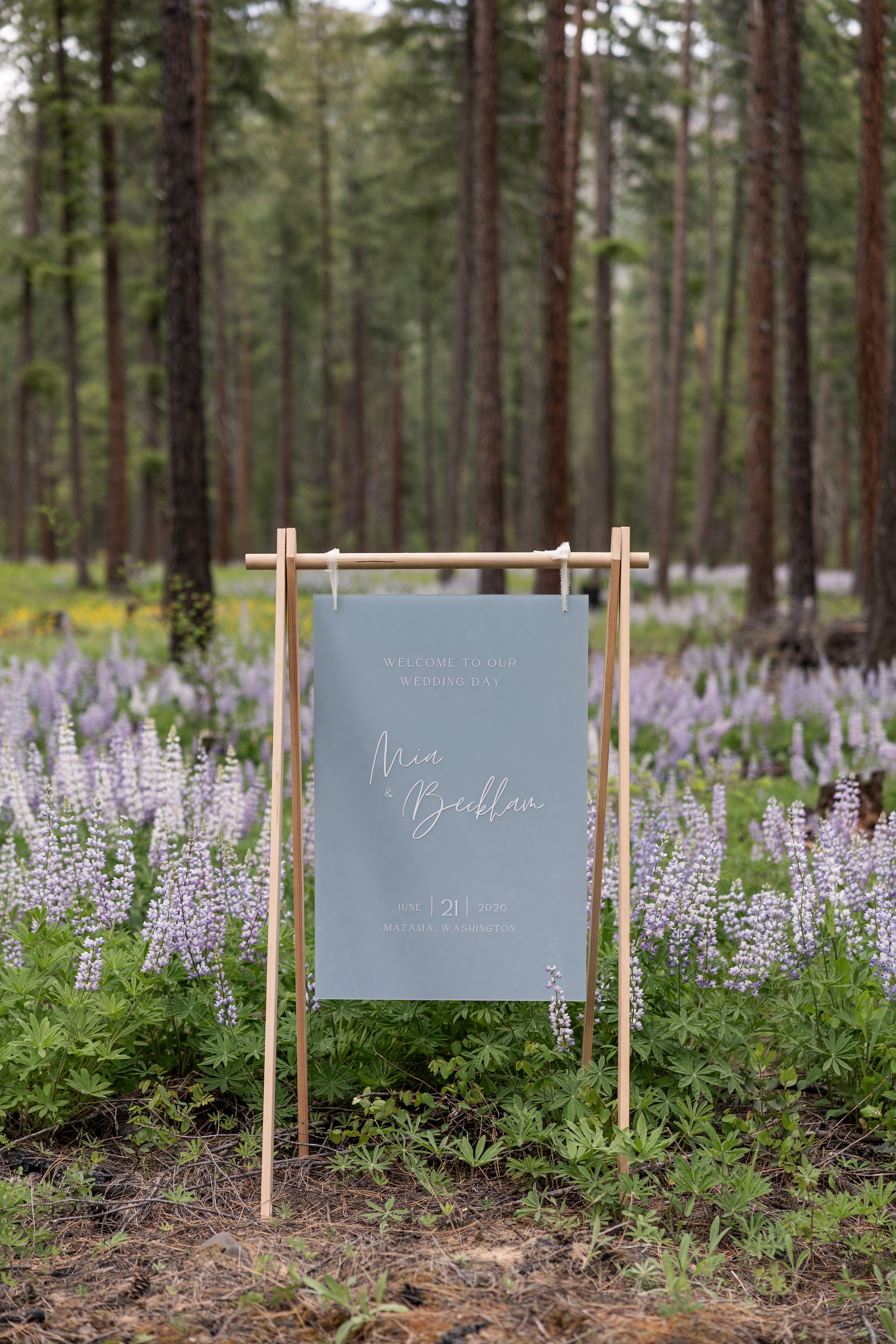 Emitha Acrylic Welcome Sign